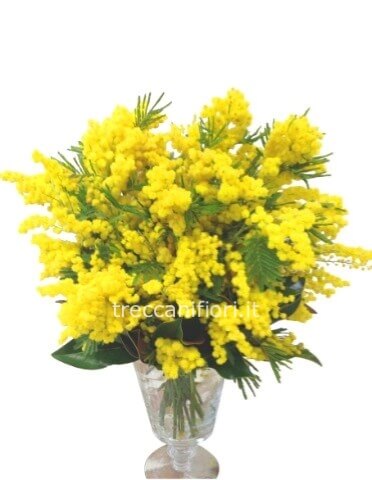 Bouquet di mimosa con prezzo a scelta.