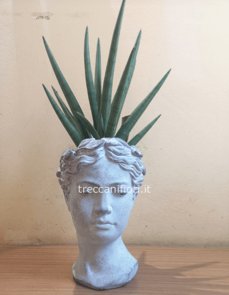 Testa in pietra con san severia