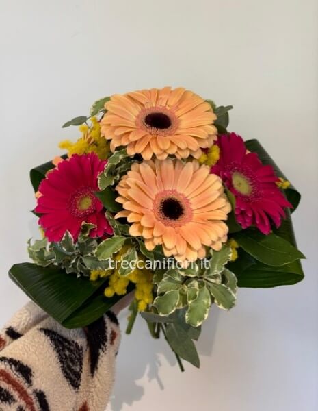 Bouquet di gerbere e mimosa